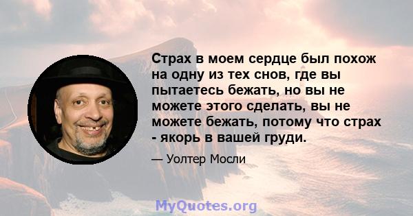 Страх в моем сердце был похож на одну из тех снов, где вы пытаетесь бежать, но вы не можете этого сделать, вы не можете бежать, потому что страх - якорь в вашей груди.