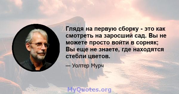 Глядя на первую сборку - это как смотреть на заросший сад. Вы не можете просто войти в сорняк; Вы еще не знаете, где находятся стебли цветов.