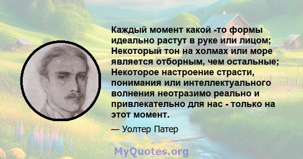 Каждый момент какой -то формы идеально растут в руке или лицом; Некоторый тон на холмах или море является отборным, чем остальные; Некоторое настроение страсти, понимания или интеллектуального волнения неотразимо