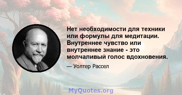 Нет необходимости для техники или формулы для медитации. Внутреннее чувство или внутреннее знание - это молчаливый голос вдохновения.