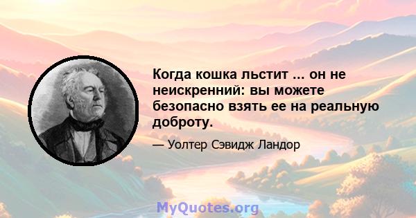 Когда кошка льстит ... он не неискренний: вы можете безопасно взять ее на реальную доброту.