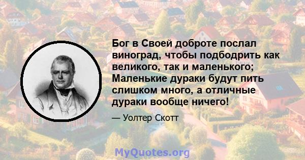 Бог в Своей доброте послал виноград, чтобы подбодрить как великого, так и маленького; Маленькие дураки будут пить слишком много, а отличные дураки вообще ничего!