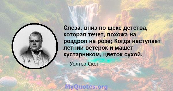 Слеза, вниз по щеке детства, которая течет, похожа на роздроп на розе; Когда наступает летний ветерок и машет кустарником, цветок сухой.