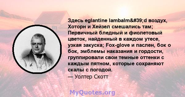 Здесь eglantine lambalm'd воздух, Хоторн и Хейзел смешались там; Первичный бледный и фиолетовый цветок, найденный в каждом утесе, узкая закуска; Fox-glove и паслен, бок о бок, эмблемы наказания и гордости,