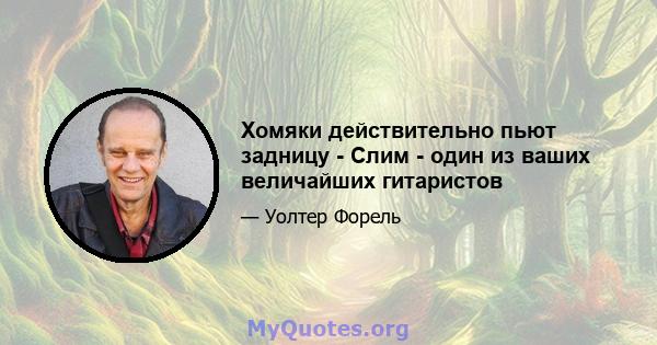 Хомяки действительно пьют задницу - Слим - один из ваших величайших гитаристов