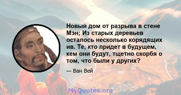 Новый дом от разрыва в стене Мэн; Из старых деревьев осталось несколько корядящих ив. Те, кто придет в будущем, кем они будут, тщетно скорбя о том, что были у других?