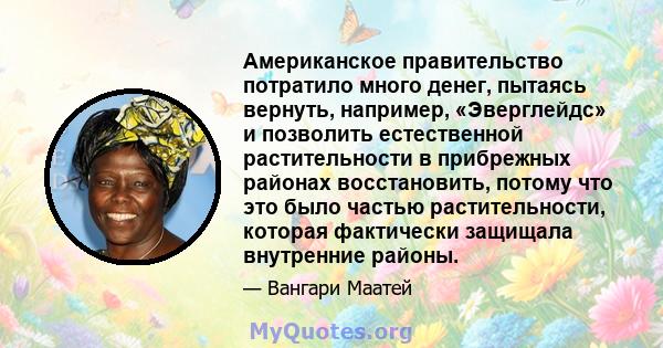 Американское правительство потратило много денег, пытаясь вернуть, например, «Эверглейдс» и позволить естественной растительности в прибрежных районах восстановить, потому что это было частью растительности, которая