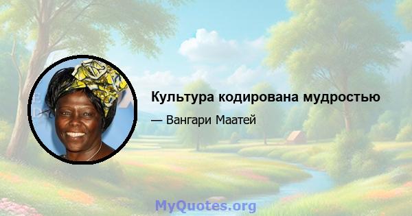 Культура кодирована мудростью