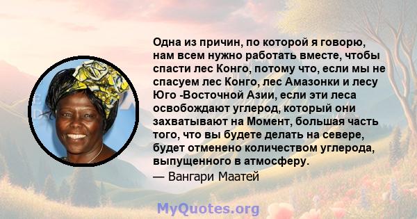 Одна из причин, по которой я говорю, нам всем нужно работать вместе, чтобы спасти лес Конго, потому что, если мы не спасуем лес Конго, лес Амазонки и лесу Юго -Восточной Азии, если эти леса освобождают углерод, который