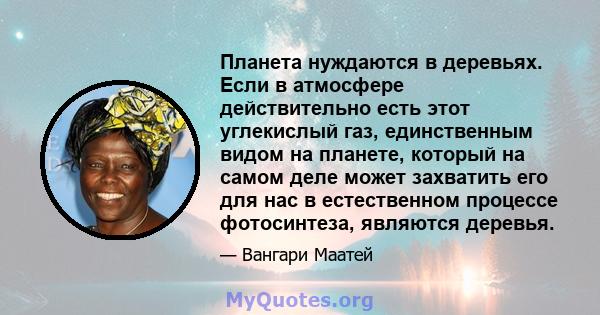 Планета нуждаются в деревьях. Если в атмосфере действительно есть этот углекислый газ, единственным видом на планете, который на самом деле может захватить его для нас в естественном процессе фотосинтеза, являются