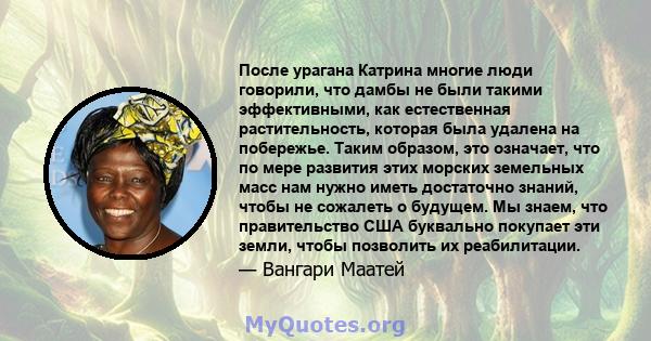 После урагана Катрина многие люди говорили, что дамбы не были такими эффективными, как естественная растительность, которая была удалена на побережье. Таким образом, это означает, что по мере развития этих морских