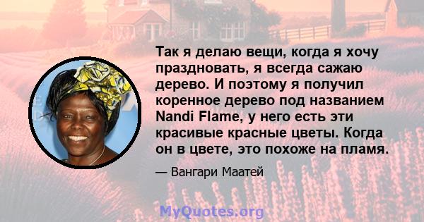 Так я делаю вещи, когда я хочу праздновать, я всегда сажаю дерево. И поэтому я получил коренное дерево под названием Nandi Flame, у него есть эти красивые красные цветы. Когда он в цвете, это похоже на пламя.