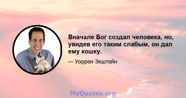 Вначале Бог создал человека, но, увидев его таким слабым, он дал ему кошку.