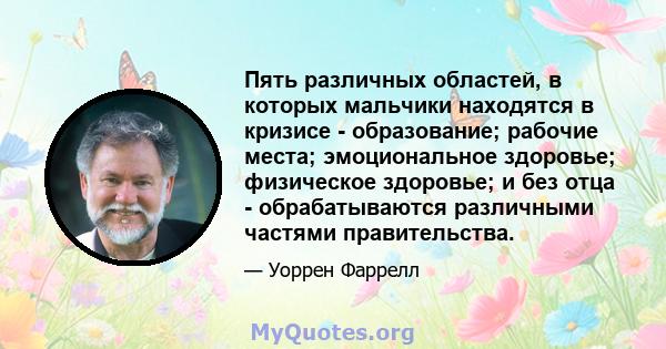 Пять различных областей, в которых мальчики находятся в кризисе - образование; рабочие места; эмоциональное здоровье; физическое здоровье; и без отца - обрабатываются различными частями правительства.