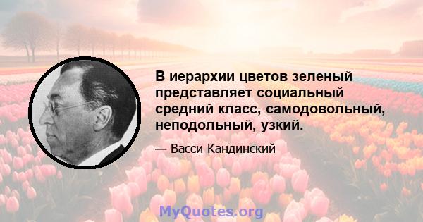 В иерархии цветов зеленый представляет социальный средний класс, самодовольный, неподольный, узкий.