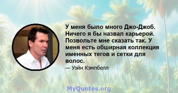 У меня было много Джо-Джоб. Ничего я бы назвал карьерой. Позвольте мне сказать так. У меня есть обширная коллекция именных тегов и сетки для волос.