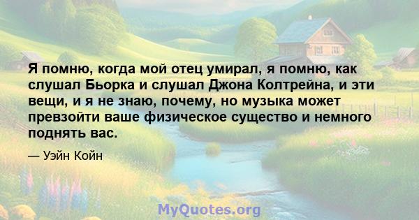 Я помню, когда мой отец умирал, я помню, как слушал Бьорка и слушал Джона Колтрейна, и эти вещи, и я не знаю, почему, но музыка может превзойти ваше физическое существо и немного поднять вас.