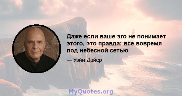 Даже если ваше эго не понимает этого, это правда: все вовремя под небесной сетью