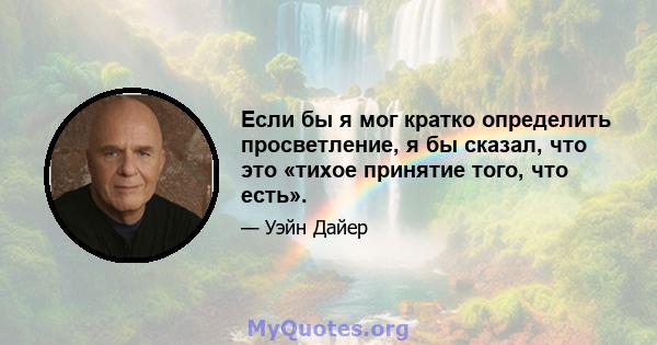 Если бы я мог кратко определить просветление, я бы сказал, что это «тихое принятие того, что есть».