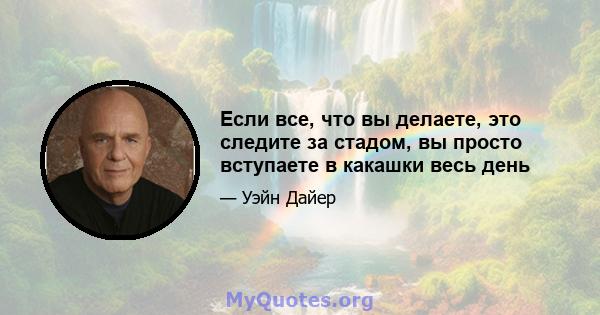 Если все, что вы делаете, это следите за стадом, вы просто вступаете в какашки весь день