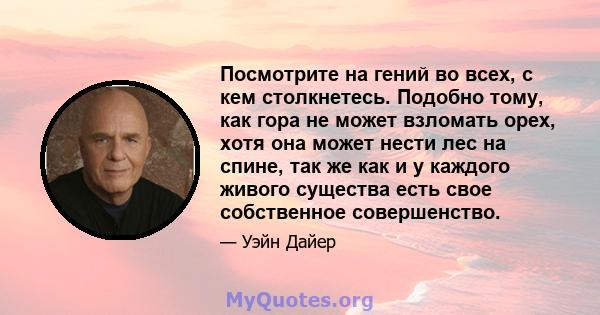 Посмотрите на гений во всех, с кем столкнетесь. Подобно тому, как гора не может взломать орех, хотя она может нести лес на спине, так же как и у каждого живого существа есть свое собственное совершенство.