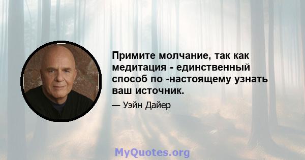 Примите молчание, так как медитация - единственный способ по -настоящему узнать ваш источник.