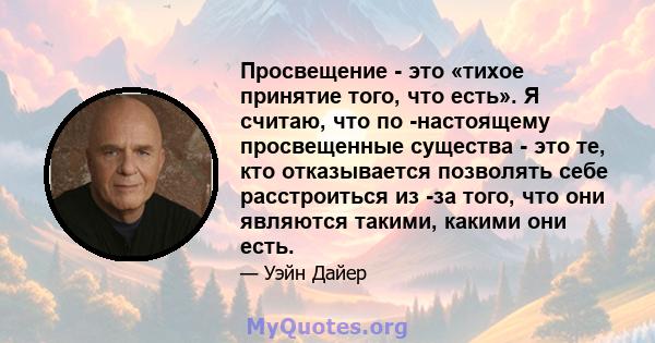 Просвещение - это «тихое принятие того, что есть». Я считаю, что по -настоящему просвещенные существа - это те, кто отказывается позволять себе расстроиться из -за того, что они являются такими, какими они есть.