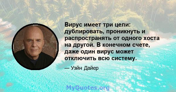 Вирус имеет три цели: дублировать, проникнуть и распространять от одного хоста на другой. В конечном счете, даже один вирус может отключить всю систему.