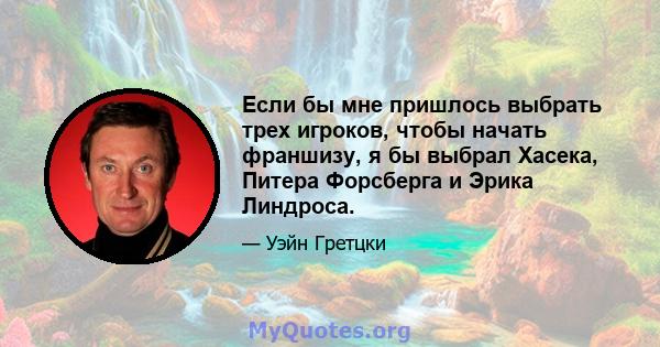 Если бы мне пришлось выбрать трех игроков, чтобы начать франшизу, я бы выбрал Хасека, Питера Форсберга и Эрика Линдроса.