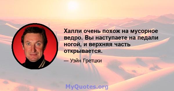 Халли очень похож на мусорное ведро. Вы наступаете на педали ногой, и верхняя часть открывается.