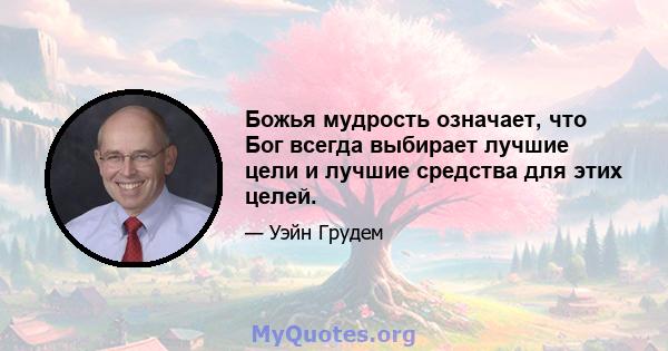 Божья мудрость означает, что Бог всегда выбирает лучшие цели и лучшие средства для этих целей.