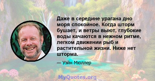 Даже в середине урагана дно моря спокойное. Когда шторм бушает, и ветры выют, глубокие воды качаются в нежном ритме, легком движении рыб и растительной жизни. Ниже нет шторма.