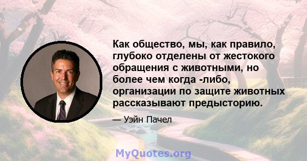 Как общество, мы, как правило, глубоко отделены от жестокого обращения с животными, но более чем когда -либо, организации по защите животных рассказывают предысторию.