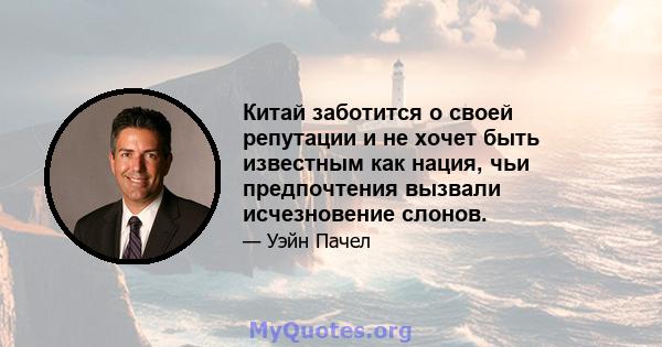 Китай заботится о своей репутации и не хочет быть известным как нация, чьи предпочтения вызвали исчезновение слонов.