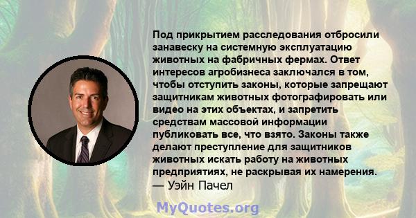 Под прикрытием расследования отбросили занавеску на системную эксплуатацию животных на фабричных фермах. Ответ интересов агробизнеса заключался в том, чтобы отступить законы, которые запрещают защитникам животных