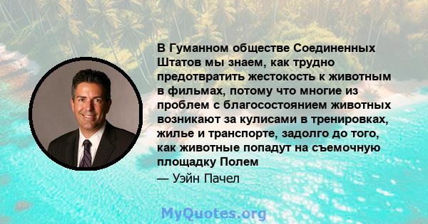 В Гуманном обществе Соединенных Штатов мы знаем, как трудно предотвратить жестокость к животным в фильмах, потому что многие из проблем с благосостоянием животных возникают за кулисами в тренировках, жилье и транспорте, 