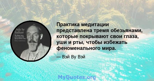 Практика медитации представлена ​​тремя обезьянами, которые покрывают свои глаза, уши и рты, чтобы избежать феноменального мира.