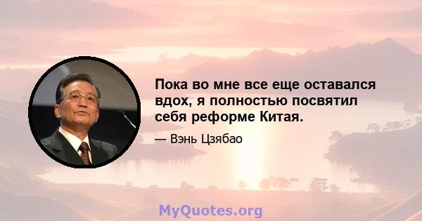 Пока во мне все еще оставался вдох, я полностью посвятил себя реформе Китая.