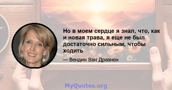 Но в моем сердце я знал, что, как и новая трава, я еще не был достаточно сильным, чтобы ходить