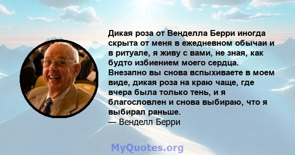 Дикая роза от Венделла Берри иногда скрыта от меня в ежедневном обычаи и в ритуале, я живу с вами, не зная, как будто избиением моего сердца. Внезапно вы снова вспыхиваете в моем виде, дикая роза на краю чаще, где вчера 