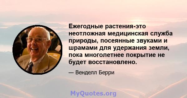 Ежегодные растения-это неотложная медицинская служба природы, посеянные звуками и шрамами для удержания земли, пока многолетнее покрытие не будет восстановлено.