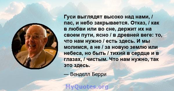 Гуси выглядят высоко над нами, / пас, и небо закрывается. Отказ, / как в любви или во сне, держит их на своем пути, ясно / в древней веге: то, что нам нужно / есть здесь. И мы молимся, а не / за новую землю или небеса,