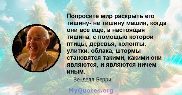 Попросите мир раскрыть его тишину- не тишину машин, когда они все еще, а настоящая тишина, с помощью которой птицы, деревья, колонты, улитки, облака, штормы становятся такими, какими они являются, и являются ничем иным.