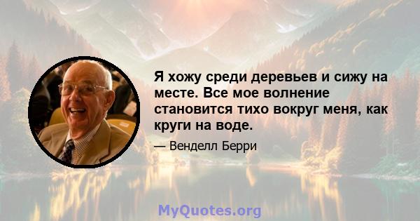 Я хожу среди деревьев и сижу на месте. Все мое волнение становится тихо вокруг меня, как круги на воде.