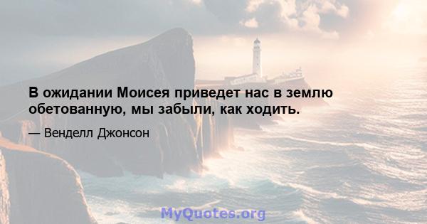 В ожидании Моисея приведет нас в землю обетованную, мы забыли, как ходить.