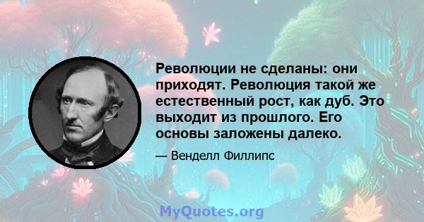 Революции не сделаны: они приходят. Революция такой же естественный рост, как дуб. Это выходит из прошлого. Его основы заложены далеко.