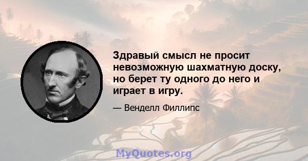 Здравый смысл не просит невозможную шахматную доску, но берет ту одного до него и играет в игру.