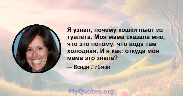 Я узнал, почему кошки пьют из туалета. Моя мама сказала мне, что это потому, что вода там холодная. И я как: откуда моя мама это знала?