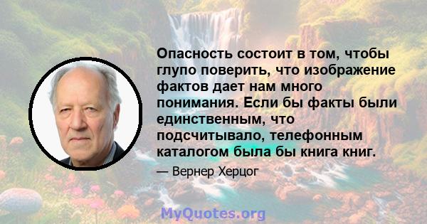 Опасность состоит в том, чтобы глупо поверить, что изображение фактов дает нам много понимания. Если бы факты были единственным, что подсчитывало, телефонным каталогом была бы книга книг.