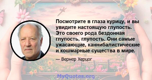 Посмотрите в глаза курицу, и вы увидите настоящую глупость. Это своего рода бездонная глупость, глупость. Они самые ужасающие, каннибалистические и кошмарные существа в мире.